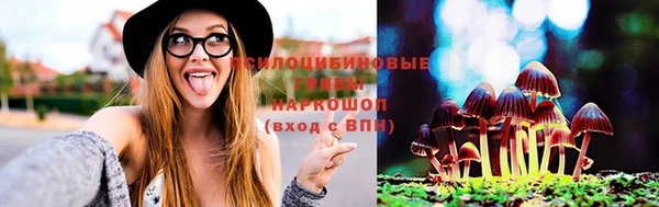 spice Балахна