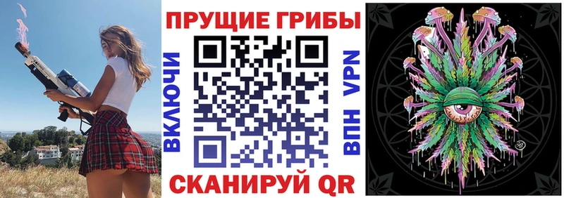 Псилоцибиновые грибы GOLDEN TEACHER  Бор 